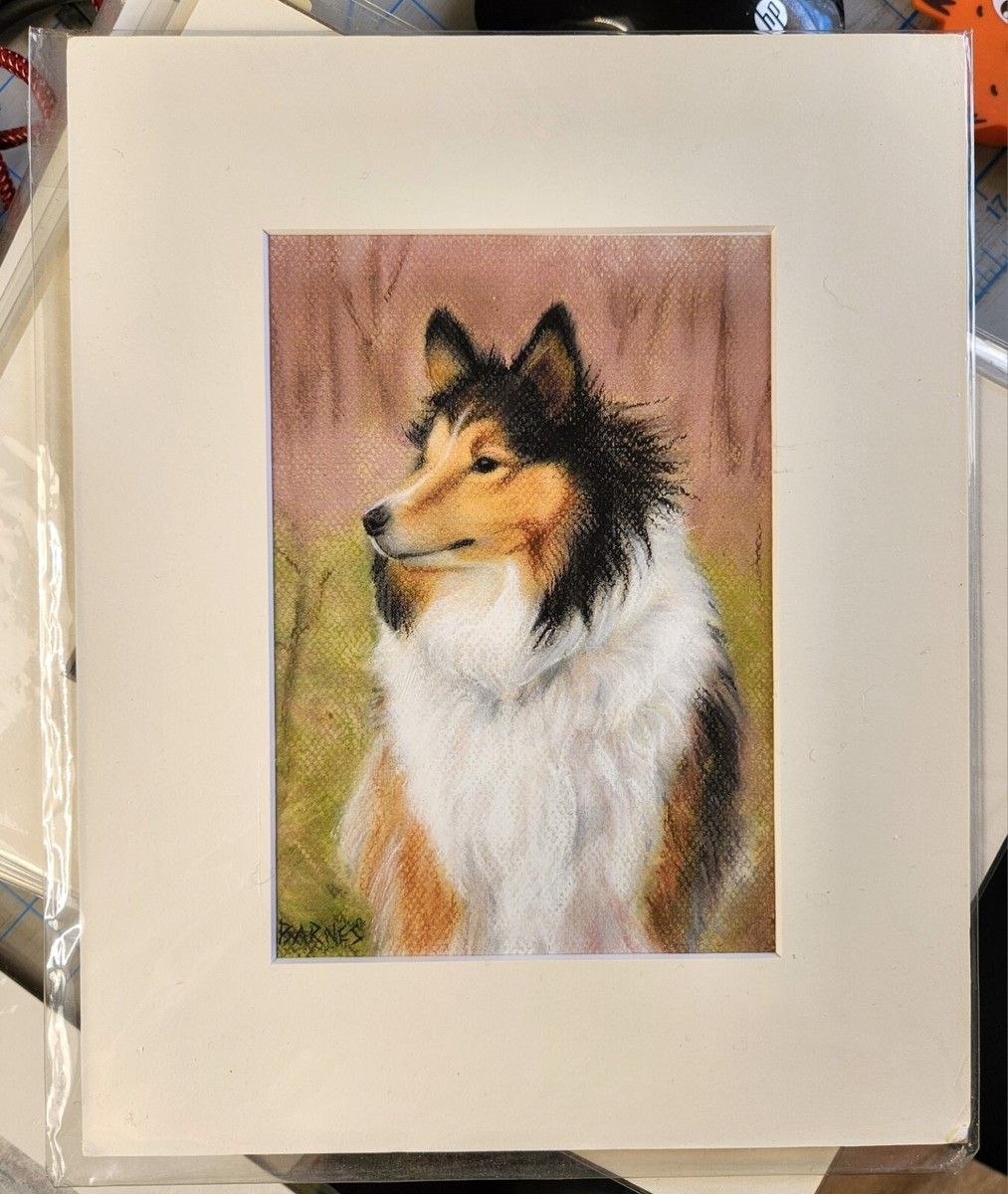 Sheltie dog artist print x matted ready to frame for x 10