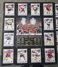 Florida Panthers 2023-2024 Stanley Cup Champions 15" X 18"  Plaque with 12 Cards
