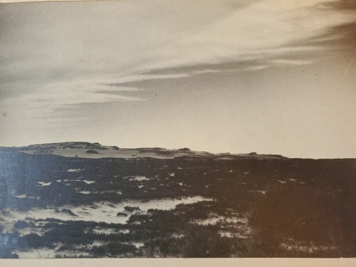 FOTOGRAFO JOSE ALEMANY; Foto originale firmata, "Il Moro" 7,75 x 11,50" - Foto 3 di 6