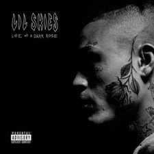 Lil Skies - Life of a Dark Rose NEW Sealed Vinyl LP Album