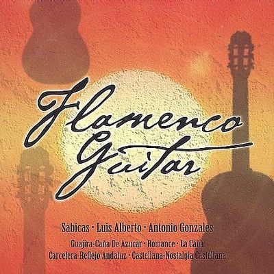 Flamenco Guitar by 