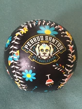Tampa Bay Rays MILB Affiliate Charleston River Dogs Sugar Skull Baseball..NEW