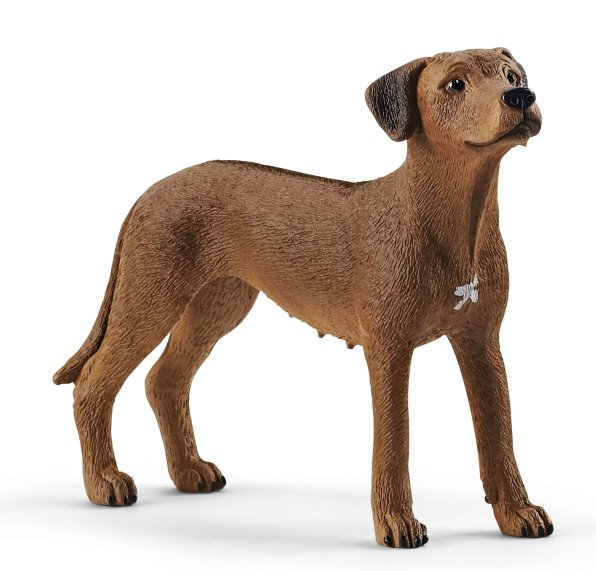 SCHLEICH, Cane Ridgeback rhodesiano, ,  SHL13895
