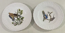VTG 2 Alfred Meakin England Birds Of America Plates Turtle Dove Passenger Pigeon