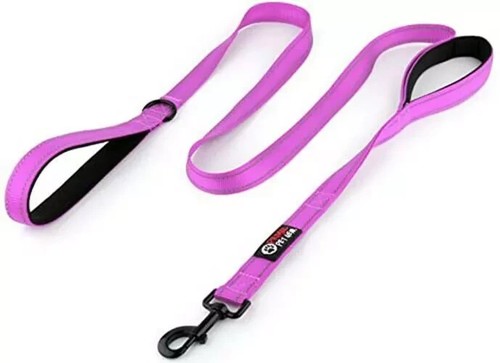 Pioneer Pet Core Hundeleine 6ft lang - verkehrsgepolsterte Führleine pink/lila