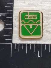 DSS HAT LAPEL PIN PIN BACK USED (R1863)