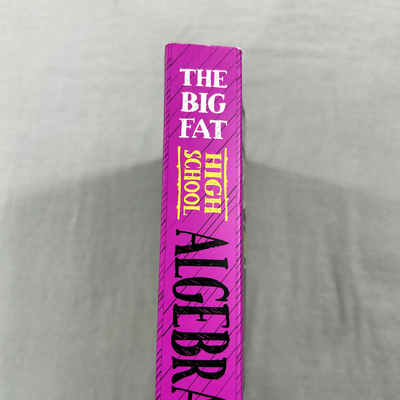 Big Fat Notebook Algebra 1 The Big Fat High School Algebra 1 Workbook ...