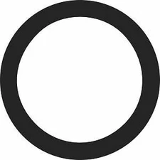 Engine Coolant Thermostat Seal Stant 25299