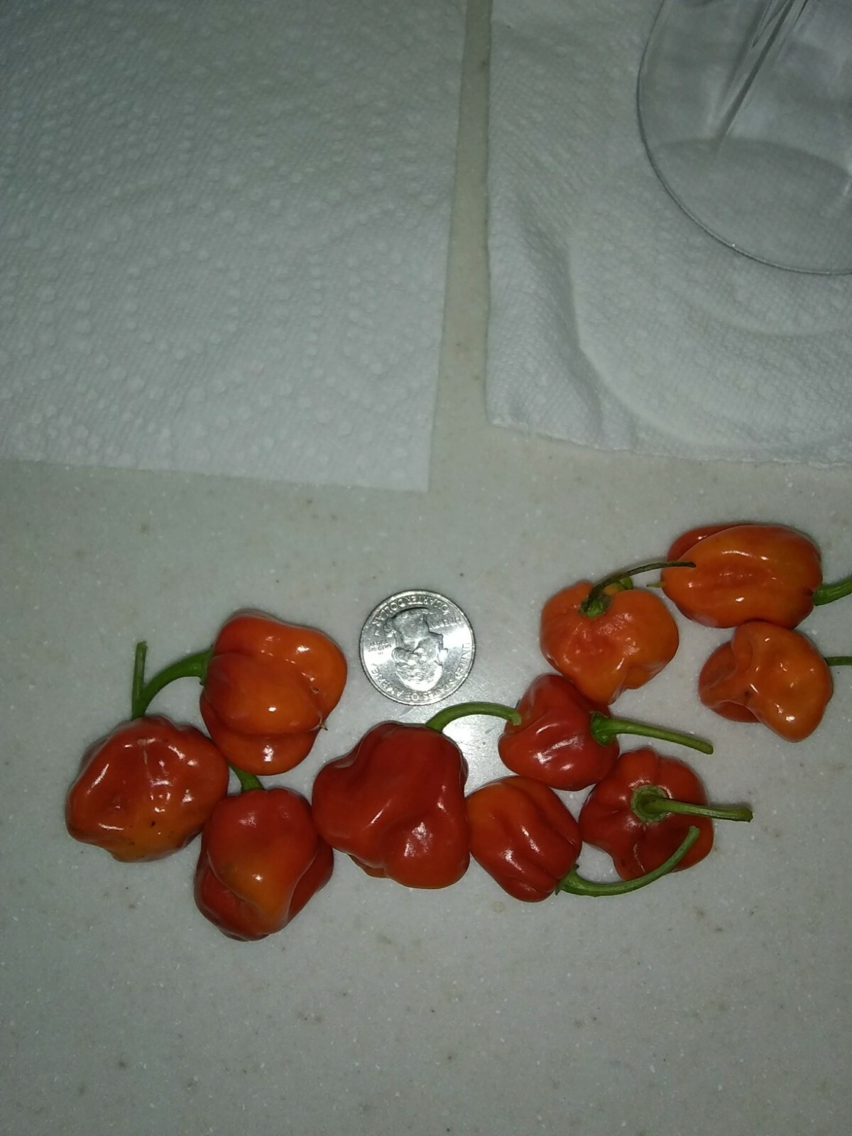 Organic Heirloom Sweet Datil Pepper Seeds 30 minimum eBay