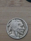 Buffalo Nickel