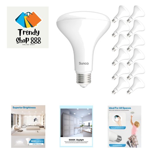 12 Pack BR30 LED Bulbs 1600 Lumens, Indoor Flood Lights 16W Equivalent 100W 5...