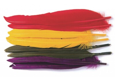 Veniard Duck Quills Fly Tying Feathers Fishing STOCK CLEARANCE