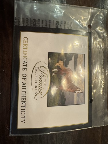 Breyer Canción Paso Fino Glossy 2023 Premier Collection mit COA & Stoffbeutel selten - Bild 16 von 24