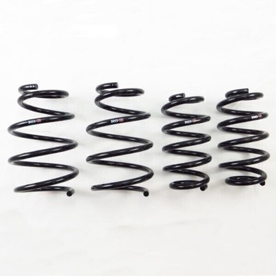 RS-R T532D for 2015-2021 Lexus NX200t AWD/FWD Down Lowering Springs