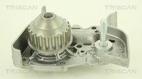 Wasserpumpe MotorküHlung Triscan 8600 25009 FüR Renault Clio Megane Kangoo Dacia