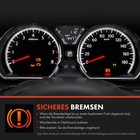 Bild 7 von 8