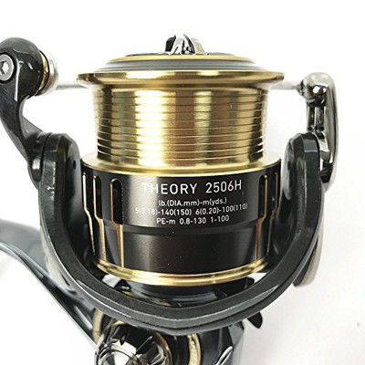 Daiwa (Spinning Reel 17 Theory 2506H (2500 Size)NEW | eBay