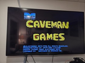 Caveman Games (Nintendo NES) Authentic, Cleaned/Tested Party Game