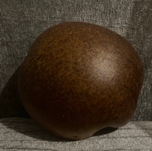Jamaican calabash bowl - Picture 3 of 12