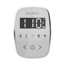 Mr Steam TempoFlex Steam Shower Control and Steamhead in White Polished Gold