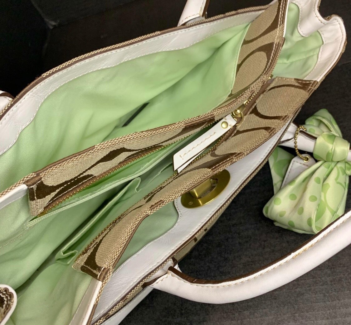 Y2K Vintage Coach Bag (Sage Green + White) Gem