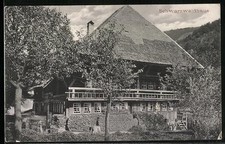 View of a Black Forest House, Postcard 1906 