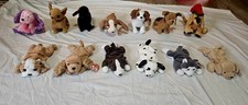 Dogs Beanie babies! $3 each!