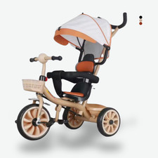 Baby Trike 6 in 1 Toddler