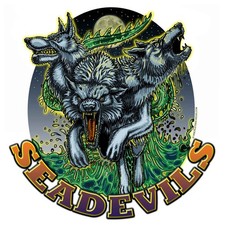 Sea Devils Navy Veteran 3-18 Inch Custom Deca...