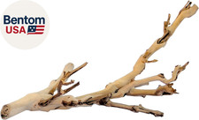 Forest Branch Small   Natural Wood Terrarium Decoration for Reptiles, Amphibians