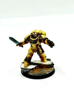 Primaris Lieutenant Painted space marines Warhammer 40k IMPERIAL FISTS