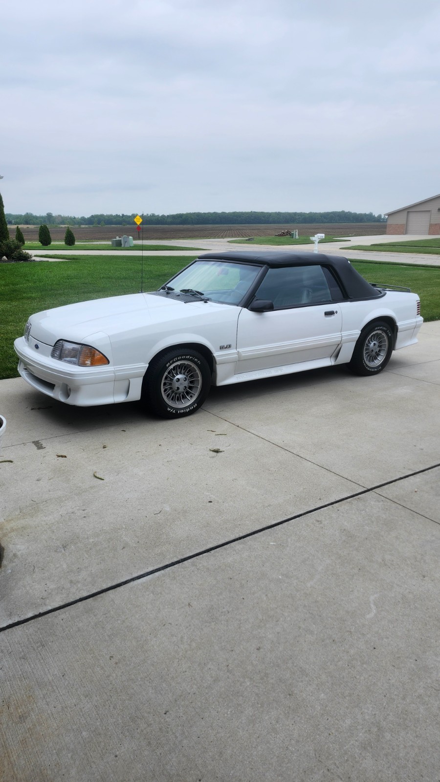1987 Ford Mustang for sale in Monroe Michigan