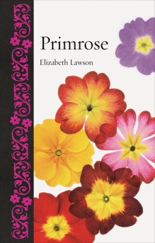 Primrose (Botanical) by Lawson, Elizabeth, QC