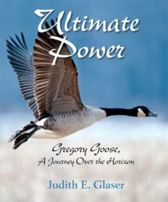 Ultimate Power: Gregory Goose, A Journey Over The Horizon by Judith E. Glaser