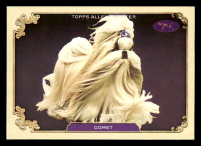 2024 Topps Allen & Ginter Best in Show #SOS-30 Comet Westminster Kennel Club