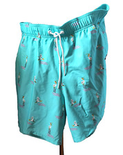 Hollister Swim Trunks Men's Size XL Multicolor Lined Recreational Water Sports