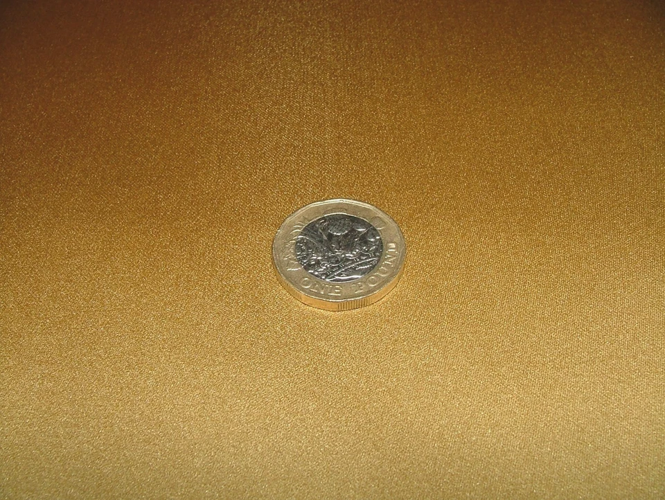 Cojín de tapicería de tela de cortina Asina dorado elegante brillo rollo de 18 metros Foto 4 de 4