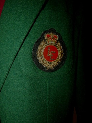 BLAZER FORRADO LIZSPORT PEQUEÑA TALLA 8P VINTAGE LANA VERDE/NAILON 2 BOTONES/3 BOLSILLOS - Imagen 7 de 11