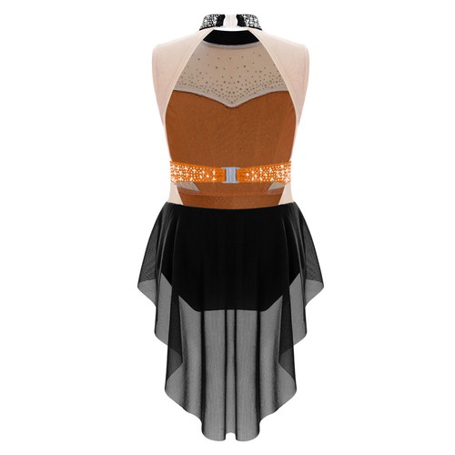 Kids Girls Costume Overlay Dress Recital Dancewear Performance Dance Ballet - Picture 45 of 60