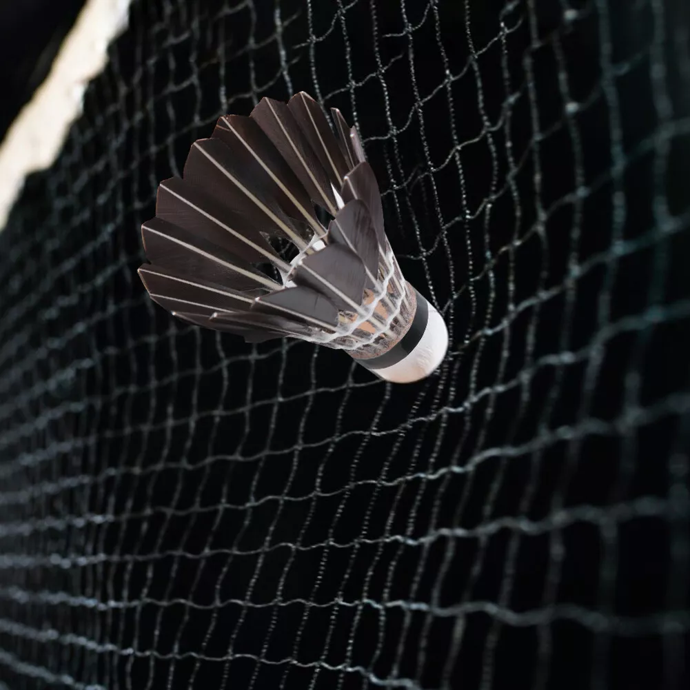 black 12 Pack Goose Feather Badminton Shuttlecocks Sport Training