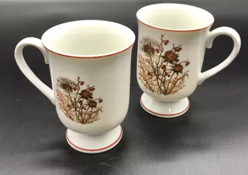 Vtg 2 Coffee Tea Mug Cup Bramble Fanci Florals Collection Footed Made In Japan