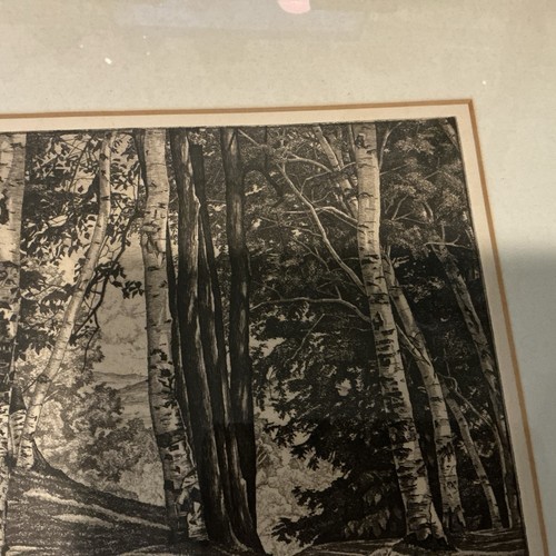 Original 5/250 Luigi Lucioni "Through The Birches" etching framed 1972 Sepia - Picture 5 of 15