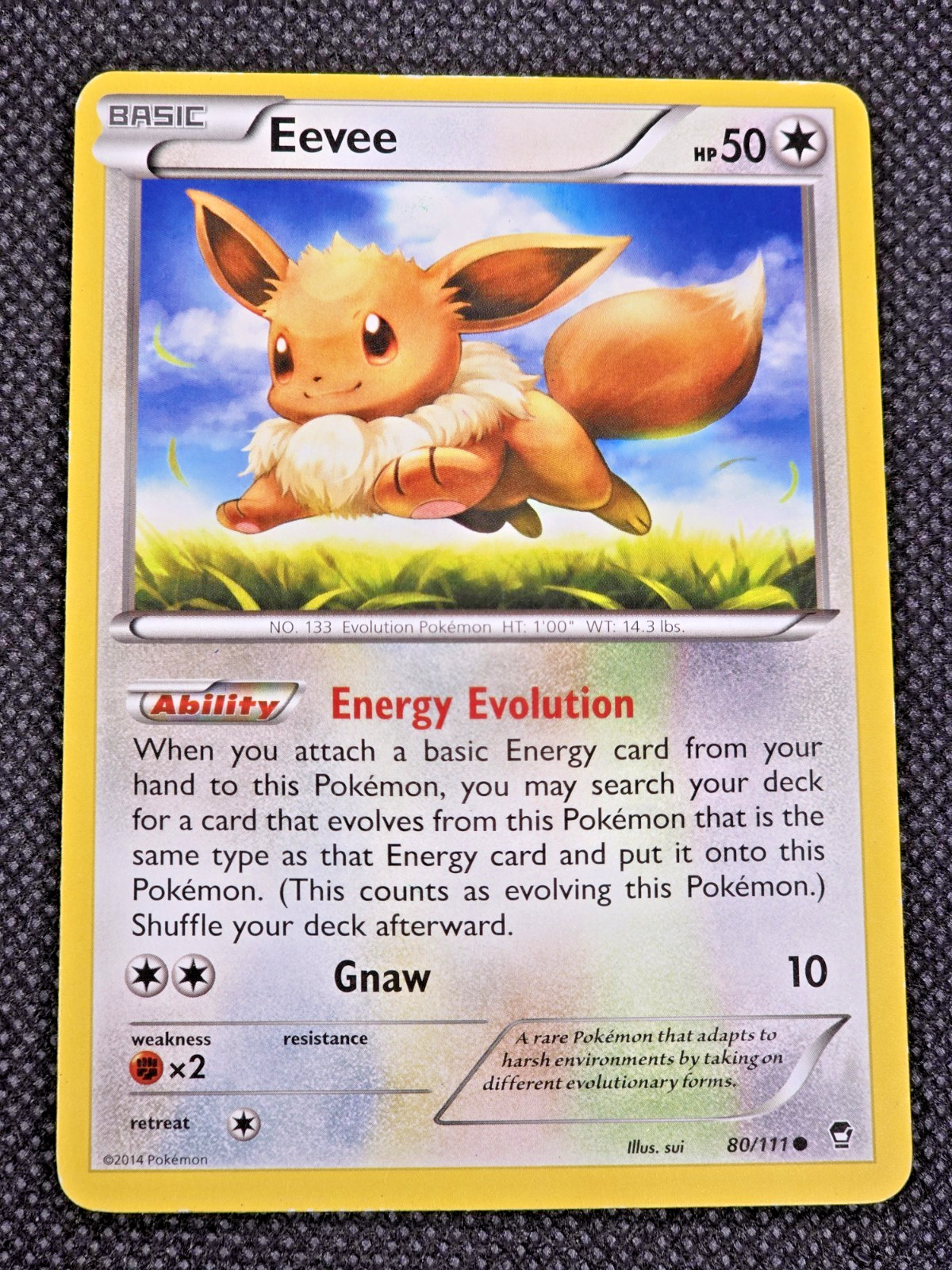 Eevee Common XY - Furious Fists 80/111 LP Pokemon Card --L5
