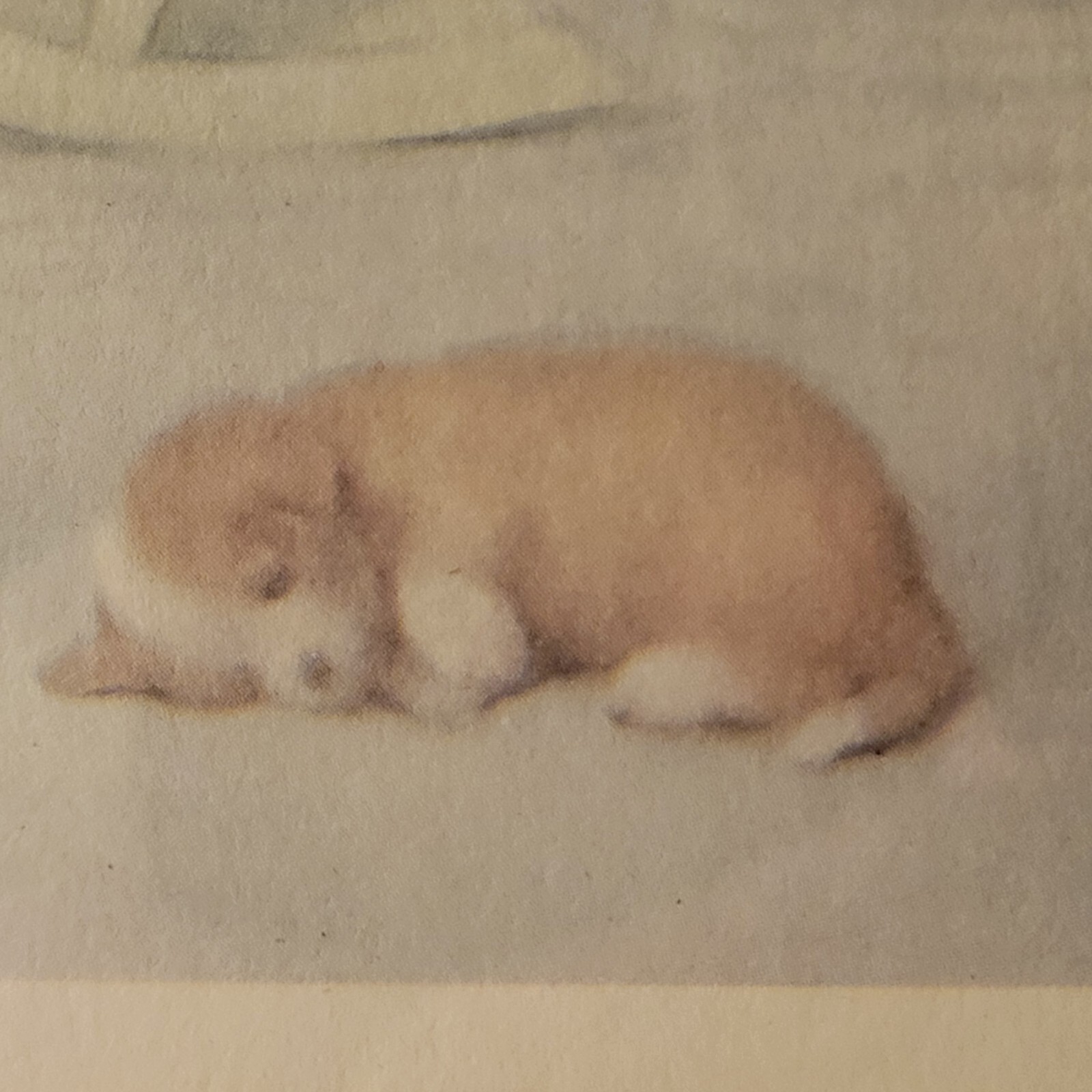 Picture 4 of 12