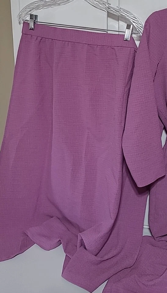 Authentic Amish Women's Dress. With Apron & Vest. See measurements For Size. - Image 3 of 4