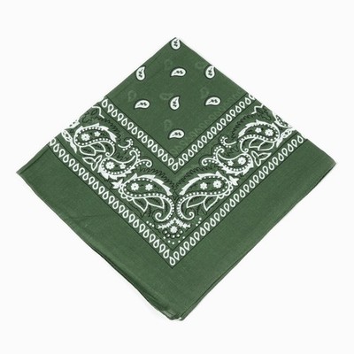2 X Paisley Print Bandana 100% Cotton Head Warp Scarf Face Mask - USA Seller