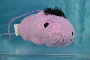 TRYWORKS Capybara-san Kapibarasan Figure Plush Doll Screen Cleane P2 Regent kun | eBay