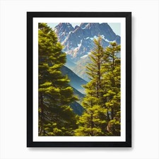 Listing image for Nahuel Huapi National Park Argentin Framed Wall Art Poster Canvas Print Picture