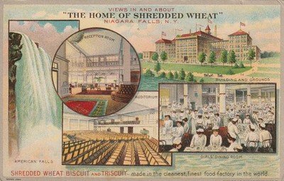 Niagara Falls NY. Multiple Views. Ad for Shredded Wheat. 1907-1915 DB Postcard
