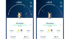  Shiny Morpeko (Schillernd Morpeko) Pokemon G...